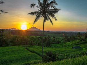 Bali Unesco World Heritage Sites Tour : All Inclusive