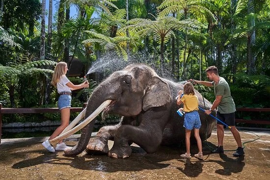 Bali Elephant Bath & Breakfast Day Tour : All Inclusive