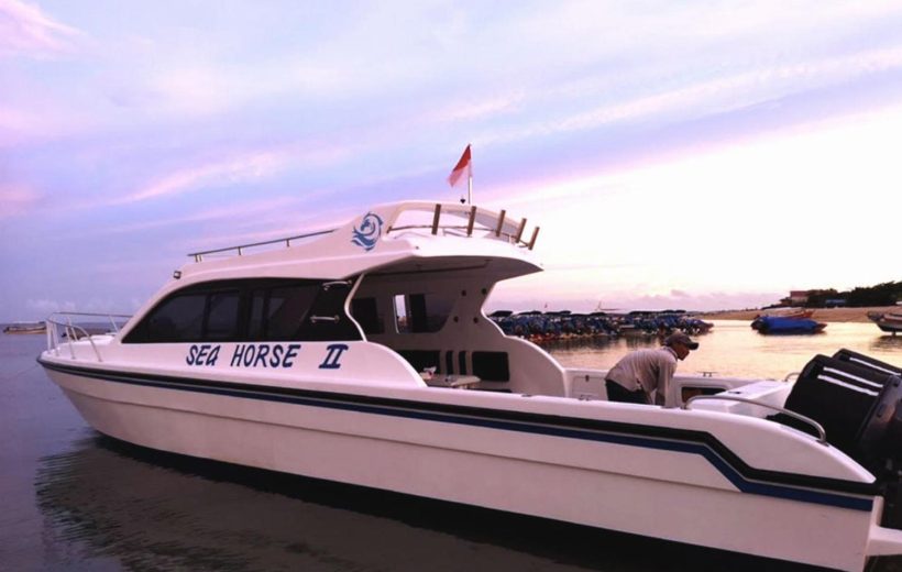 Seahorse II - Private Boat Nusa Penida Tour